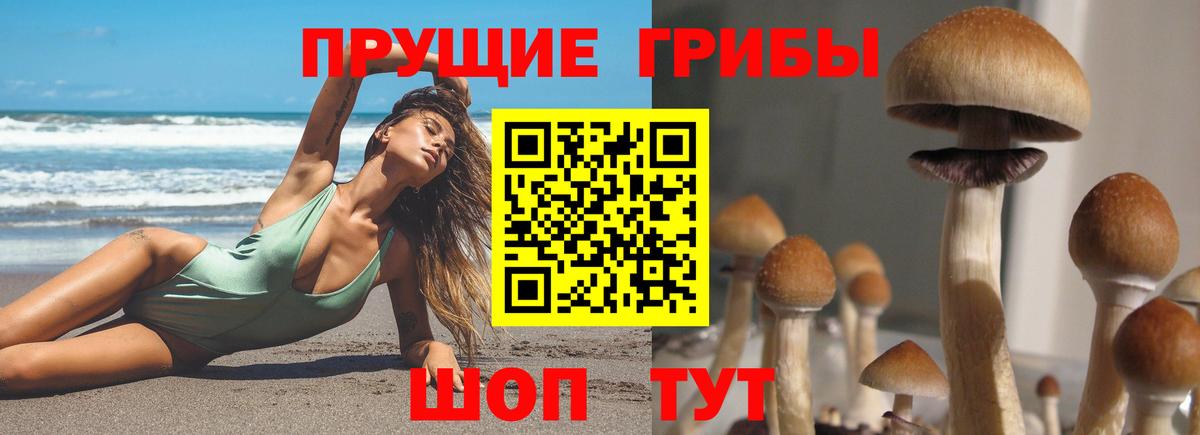 Псилоцибиновые грибы мухоморы  Вход с VPN  Миллерово 